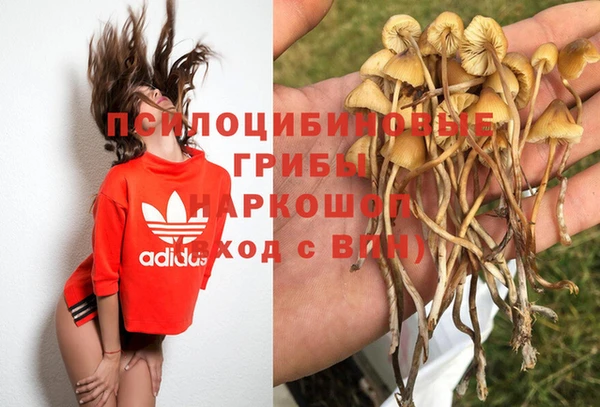 мет Кодинск